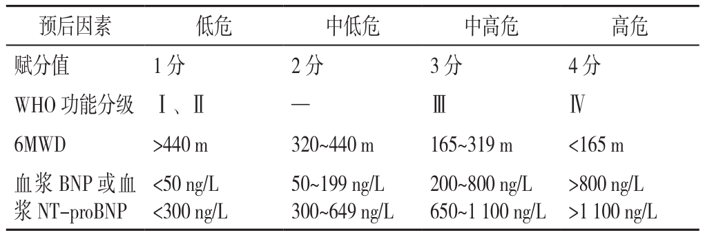 肺动脉高压临床诊治和管理中需要关注的热点问题