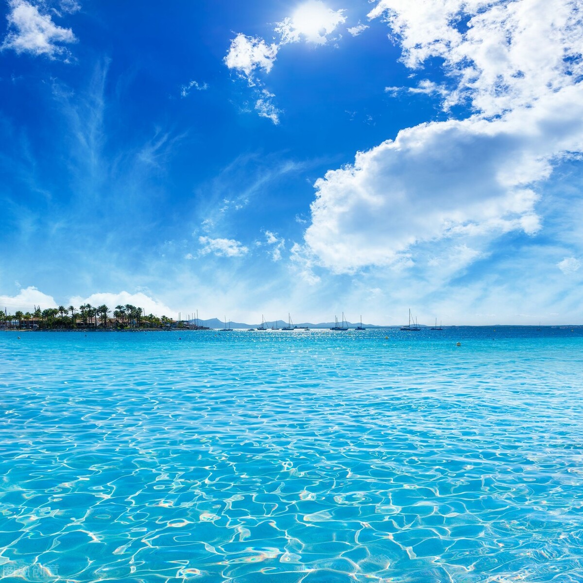 bpdq分不清专项练习题,bpdq分不清是什么症状