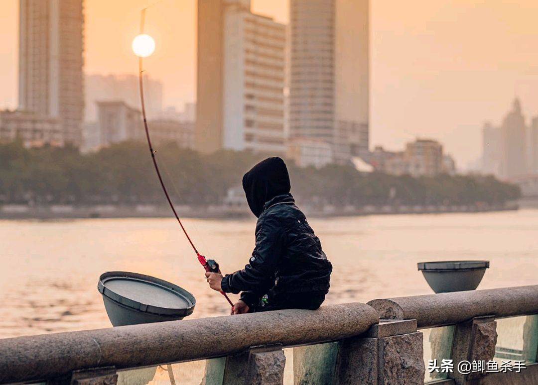 牢底坐穿鱼为什么会被抓,牢底坐穿鱼后续