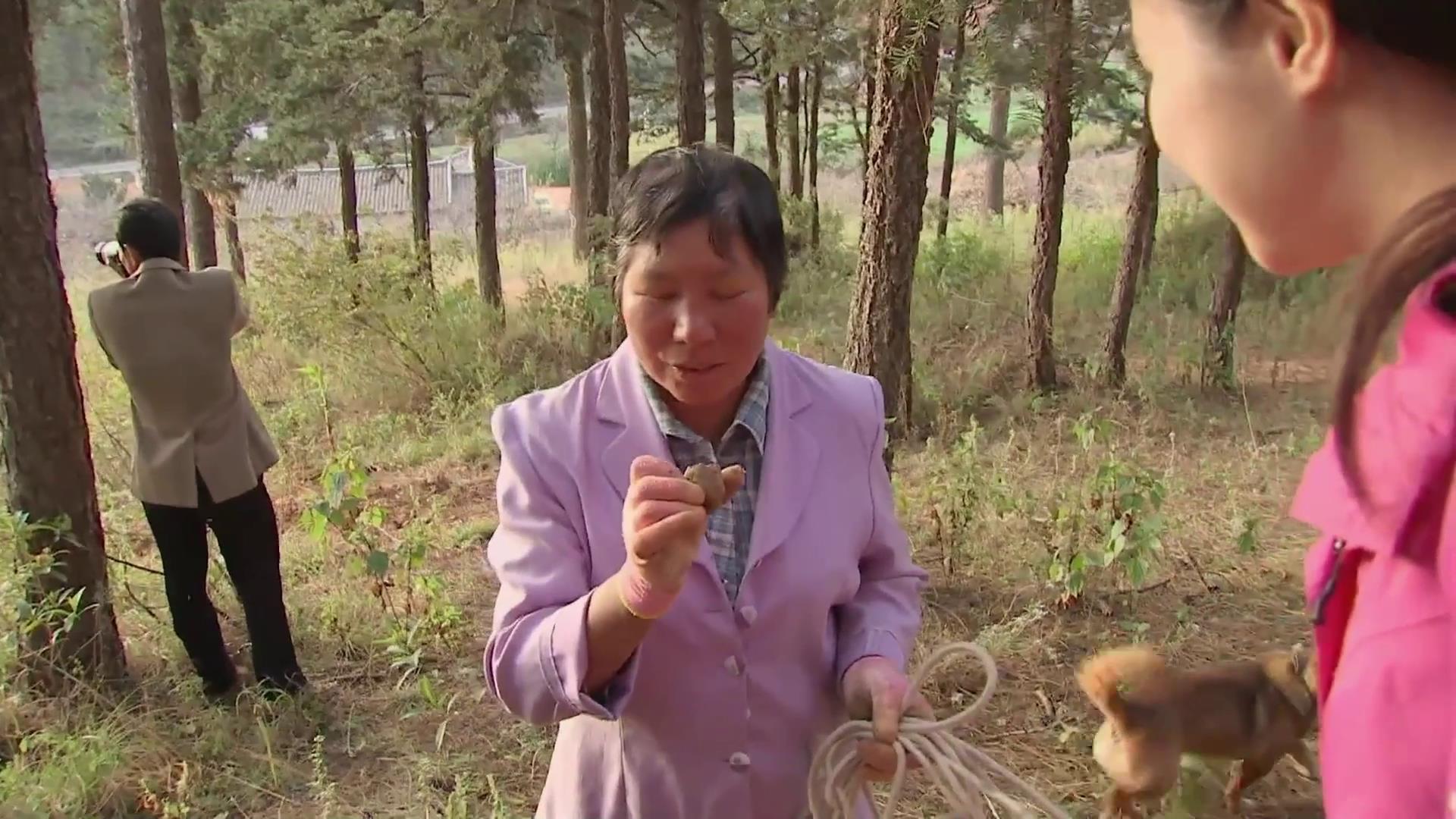 在河南挖土疙瘩,大山挖出一物多少钱