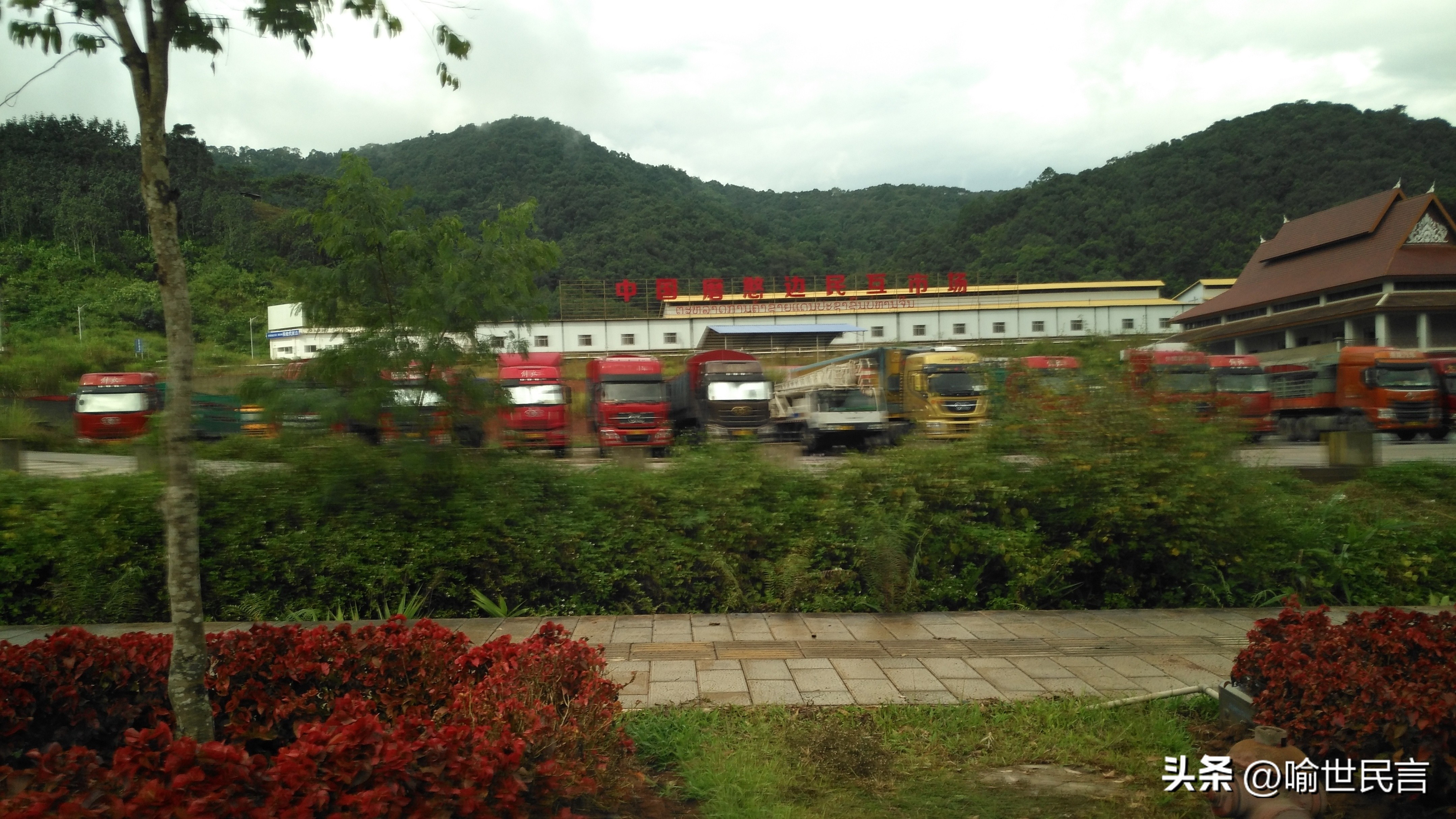 云南磨憨口岸农产品,老挝哪里的大米最好