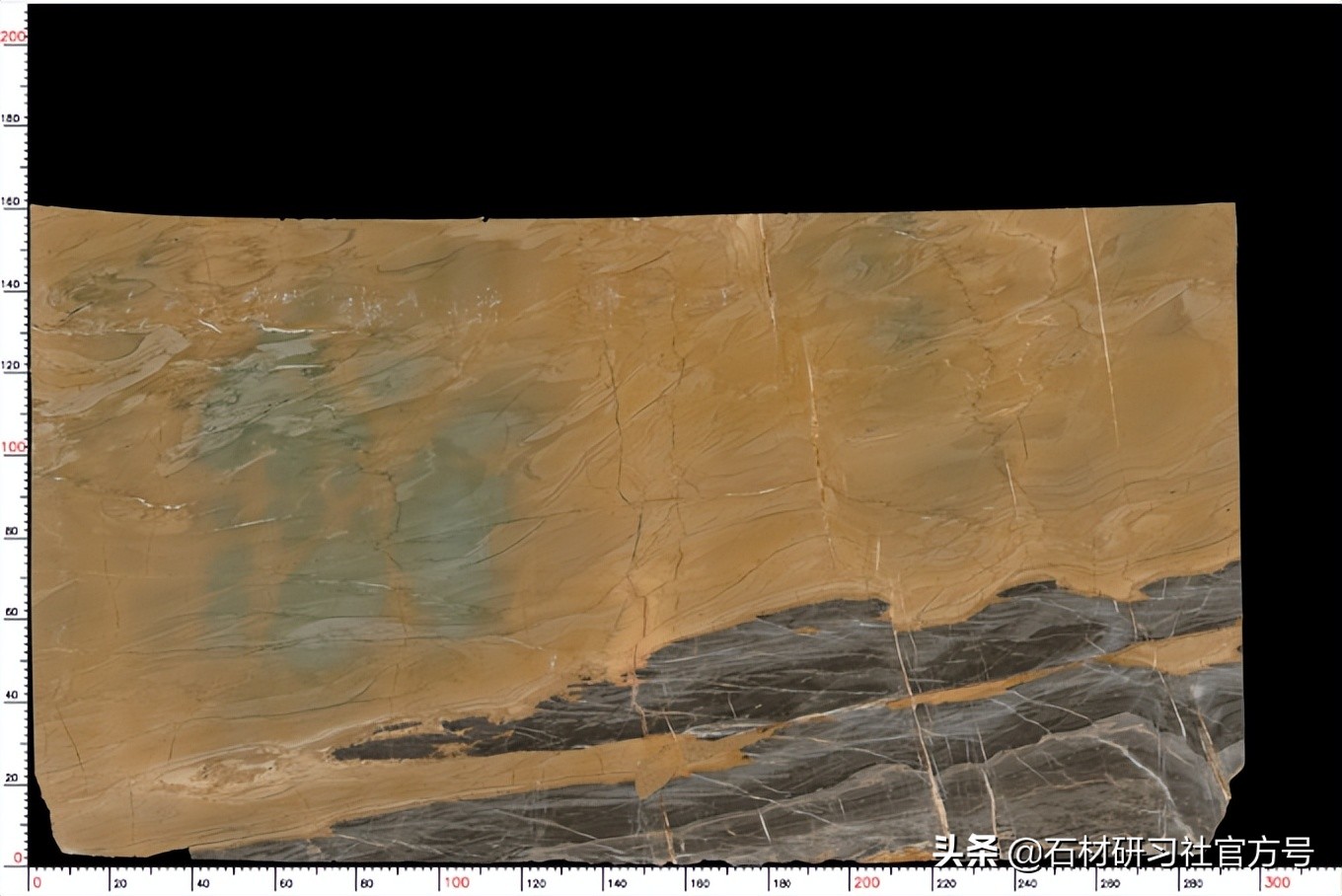奢石详解,奢石知识科普