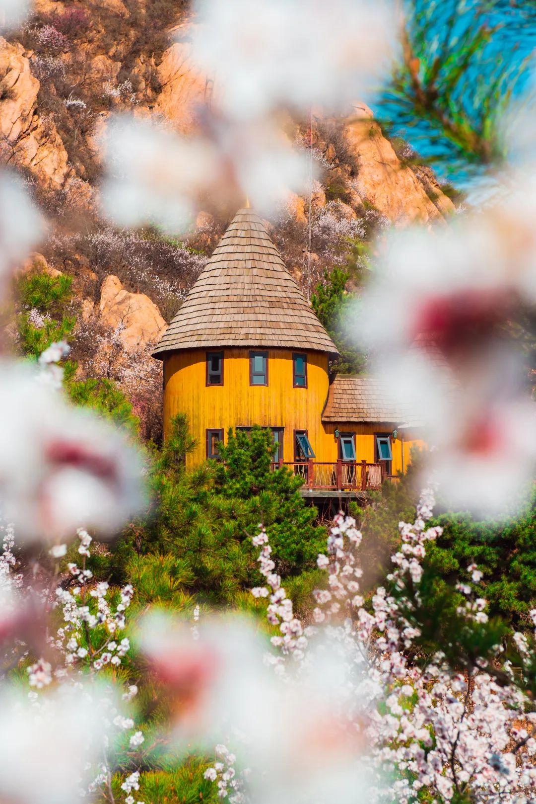 北京市密云区云峰山森林康养基地,北京密云康养基地