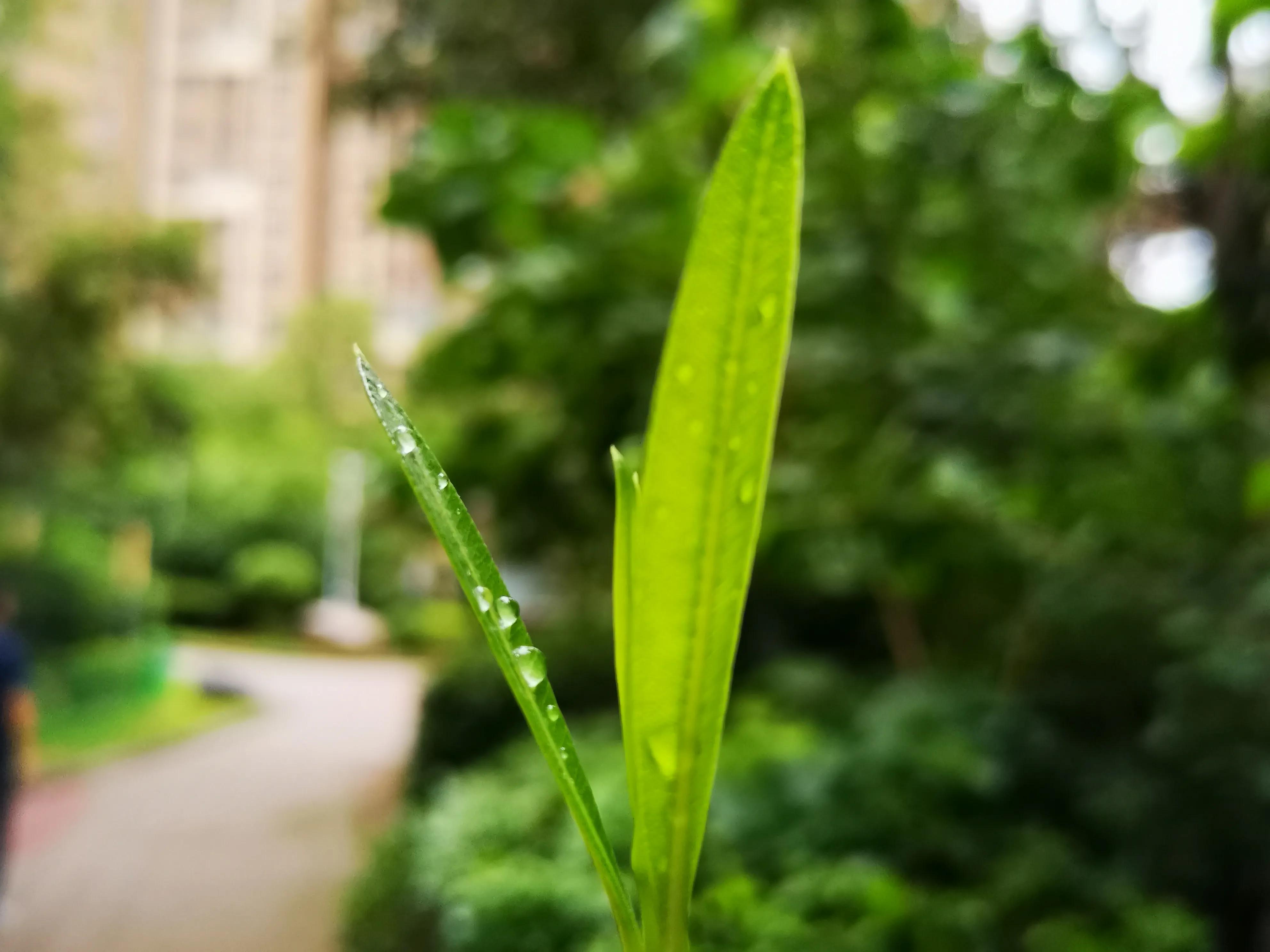 精华美文：学生写学生！小作者与西瓜小兄弟的故事很精彩
