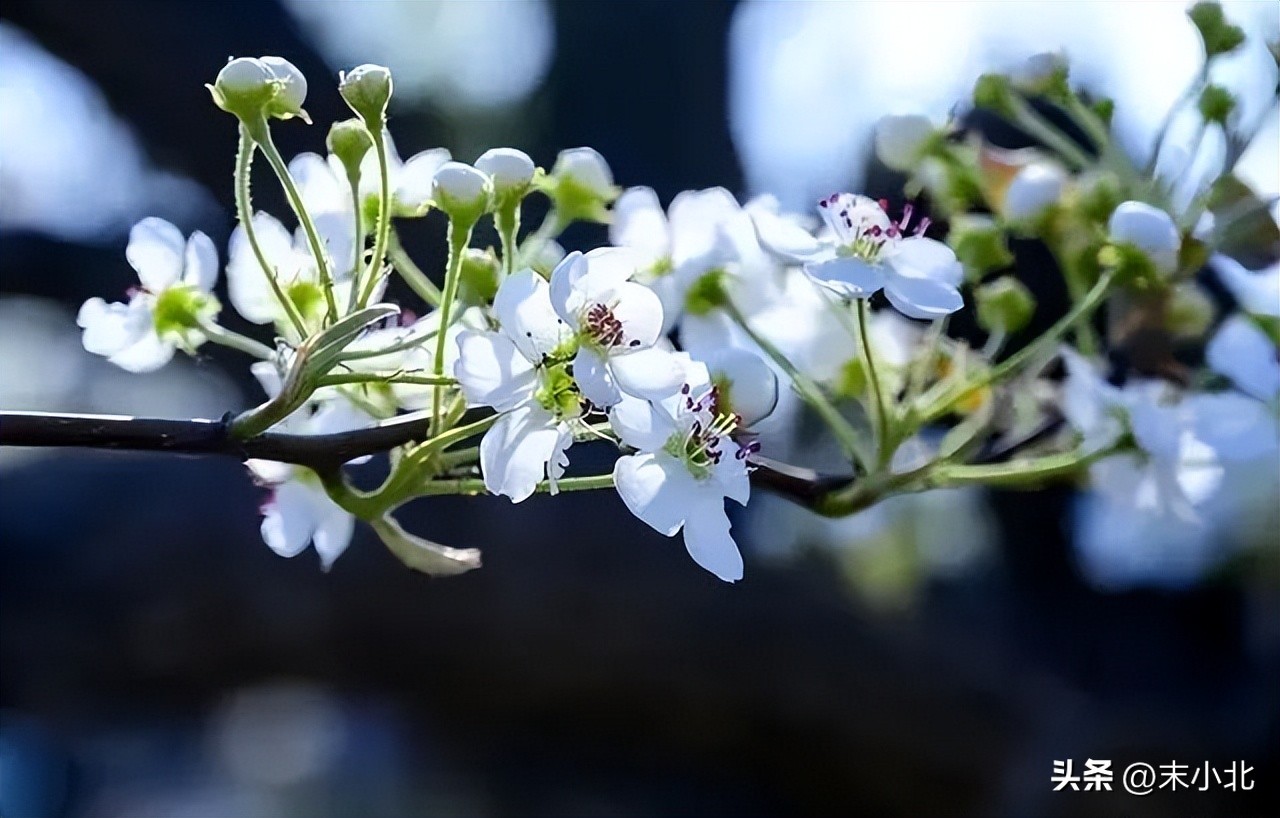一个人越活越年轻原因,欲壑难填是一切烦恼与痛苦的根源