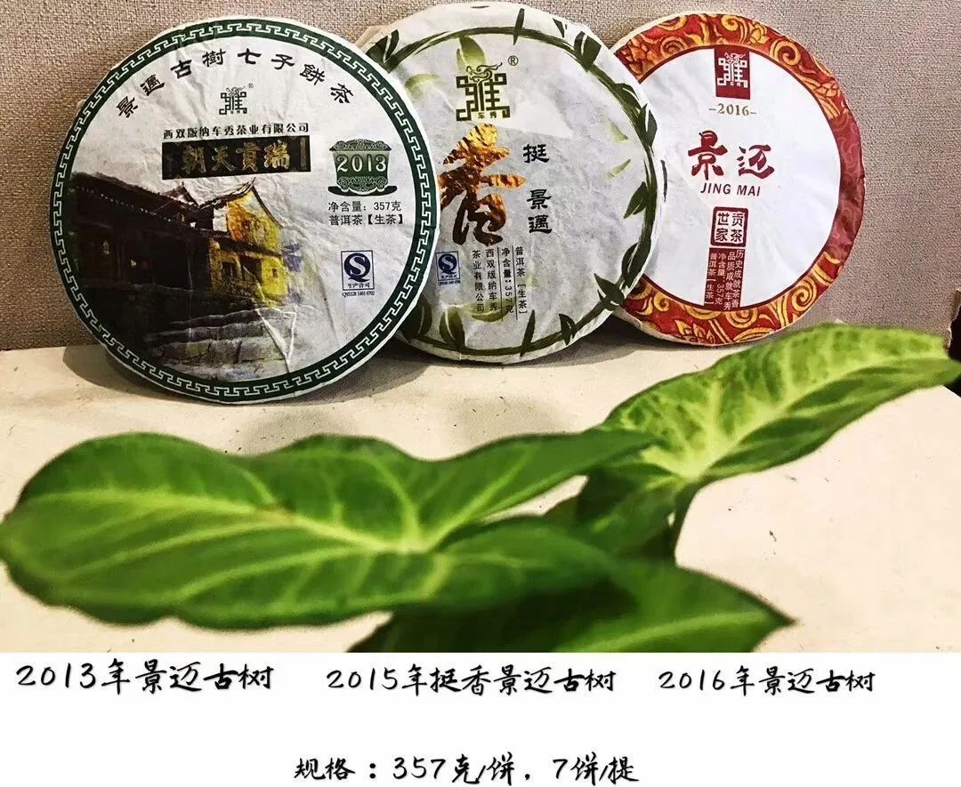 普洱茶各大山头的特性和口感图文,普洱茶老茶头的口感特点有哪些