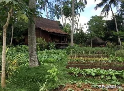 “变性人”李二毛：为生计两变性别，最后出租屋中凄惨离世