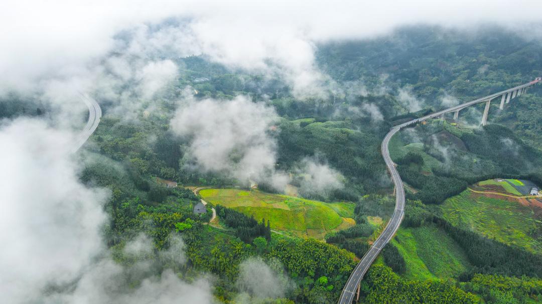 洪雅一个生你养你的地方,洪雅一个养你的地方