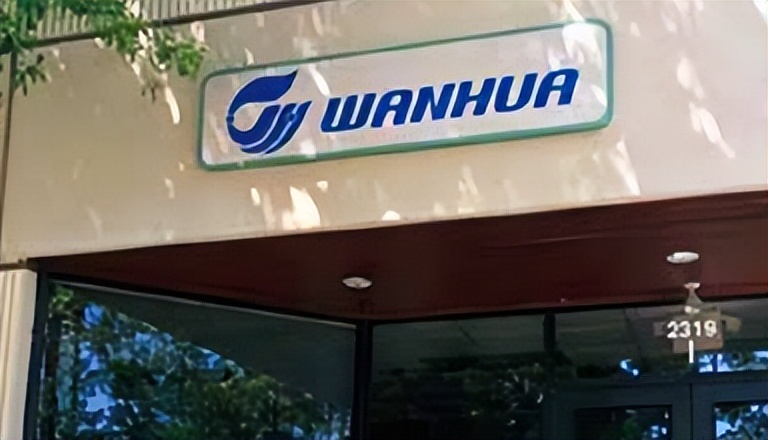 万华化学竞争力分析,丁建生持有万华化学多少股票