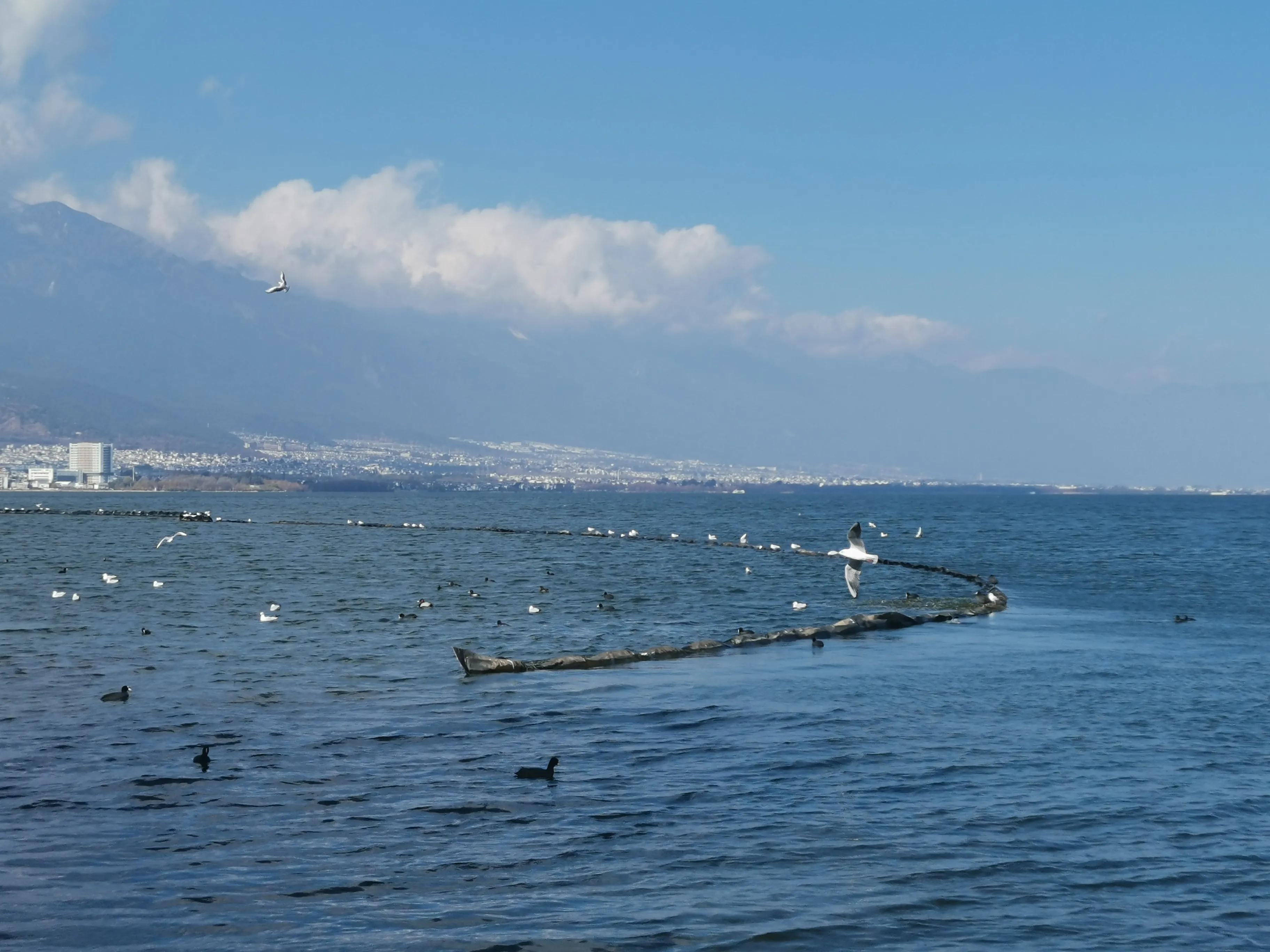 云南之旅丽江之行,2020年春节丽江大理之行