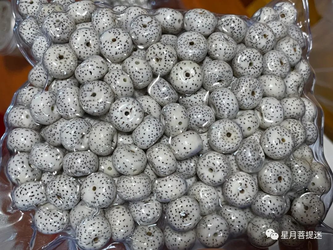 星月菩提如何选择合适自己的,星月菩提怎么挑选才是正确的