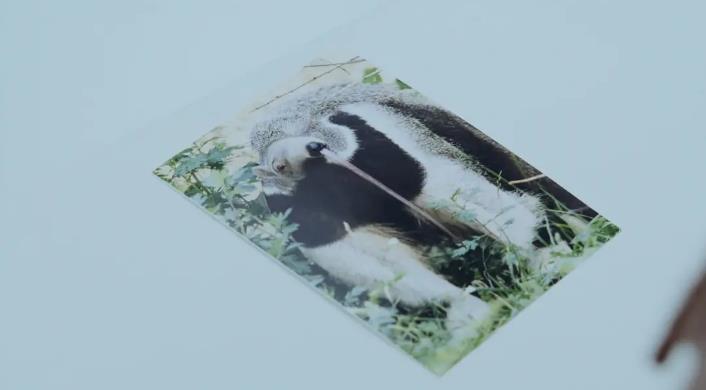 一集就入坑追完还二刷的电视剧,一集入坑被这剧整得笑开了花