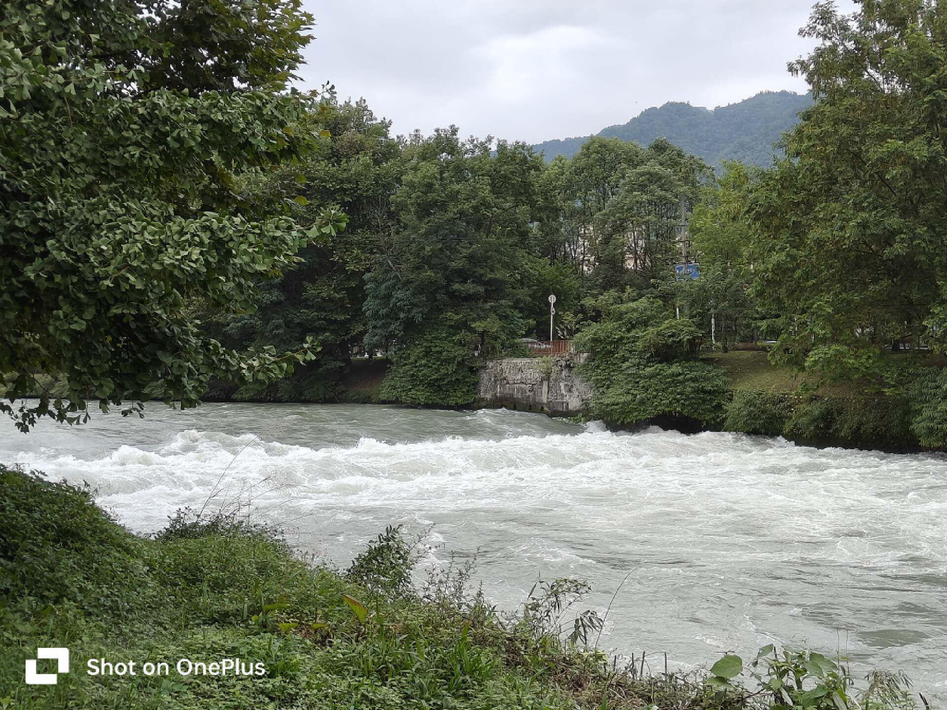 IMX890主摄+OPPO旗舰影像调校，一加Ace2Pro拍照体验实测