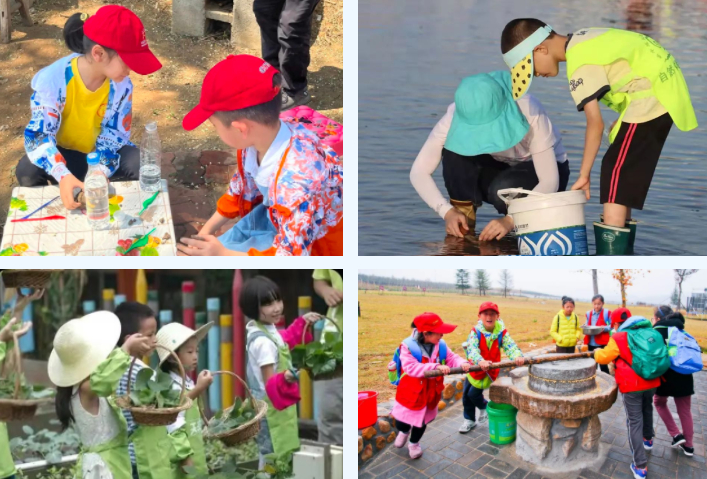 威海哪个村最美,威海十大美景乡村