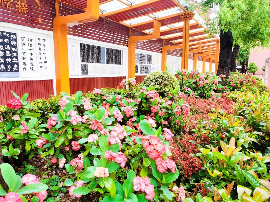 石碣四海学校和碣识学校哪个好,东莞石碣四海学校2018级