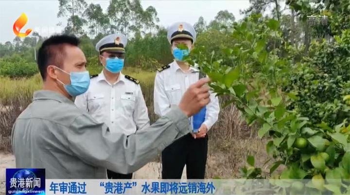 年审通过“贵港产”水果即将远销海外