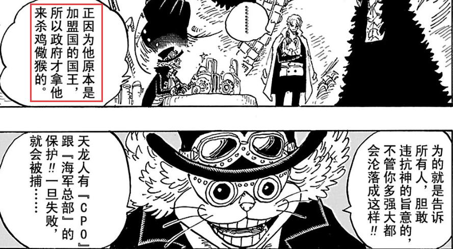 「流星电台」海贼王10641065分析-高质量解读