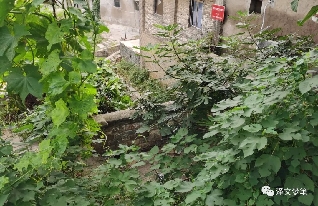 扬州跃龙关遗址,大运河长城遗产