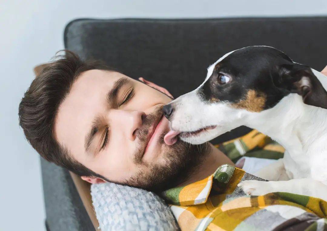 狗狗舔你,是想表达这个意思,你还不明白吗?