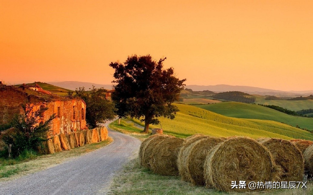 读经典品百味人生,读经典语录悟坎坷人生