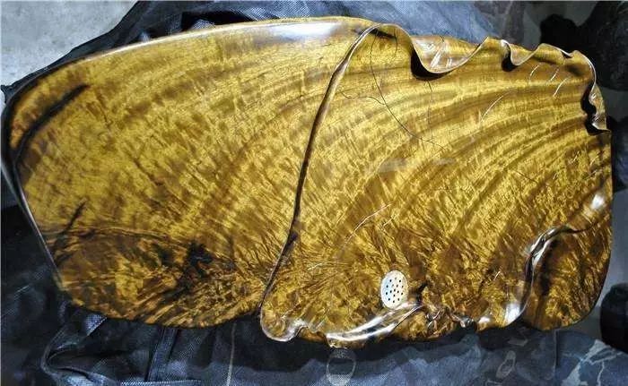 种植金丝楠木为什么这么贵,金丝楠木价值上亿树苗10年无人种