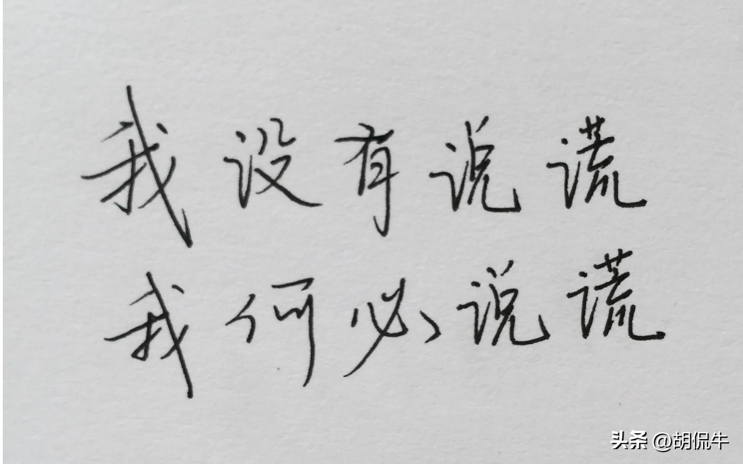 真实的谎言和值谜,真实的谎言电影国语版高清