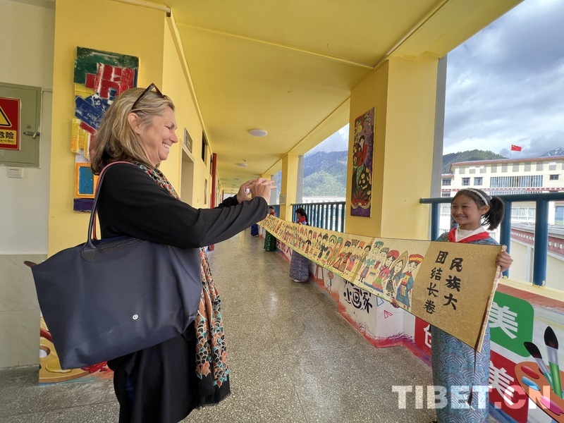 外国人学生来中国参观交流,多国驻华使节参访新疆