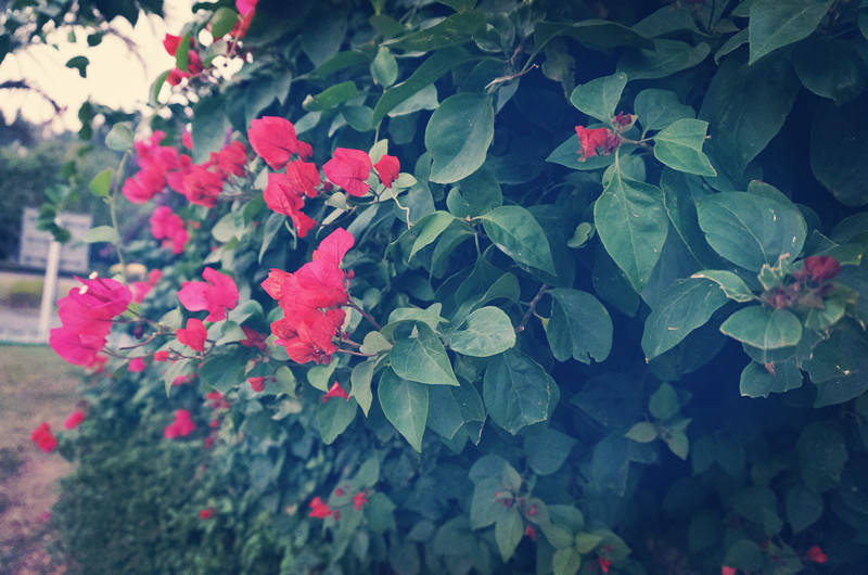 2023高考20天备考复习指导,2024年高三备考计划