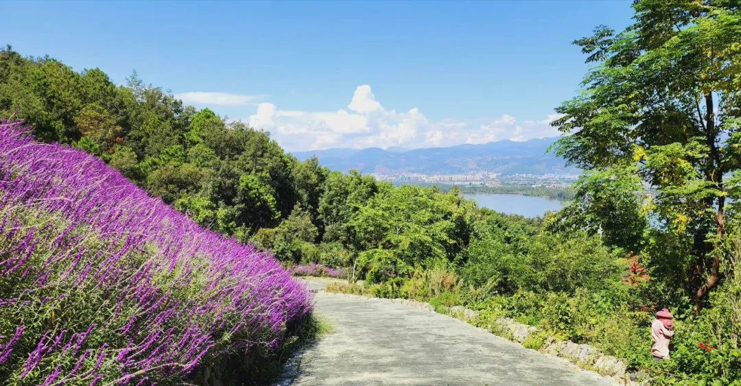 去西昌一定要吃的美食,去西昌推荐吃什么