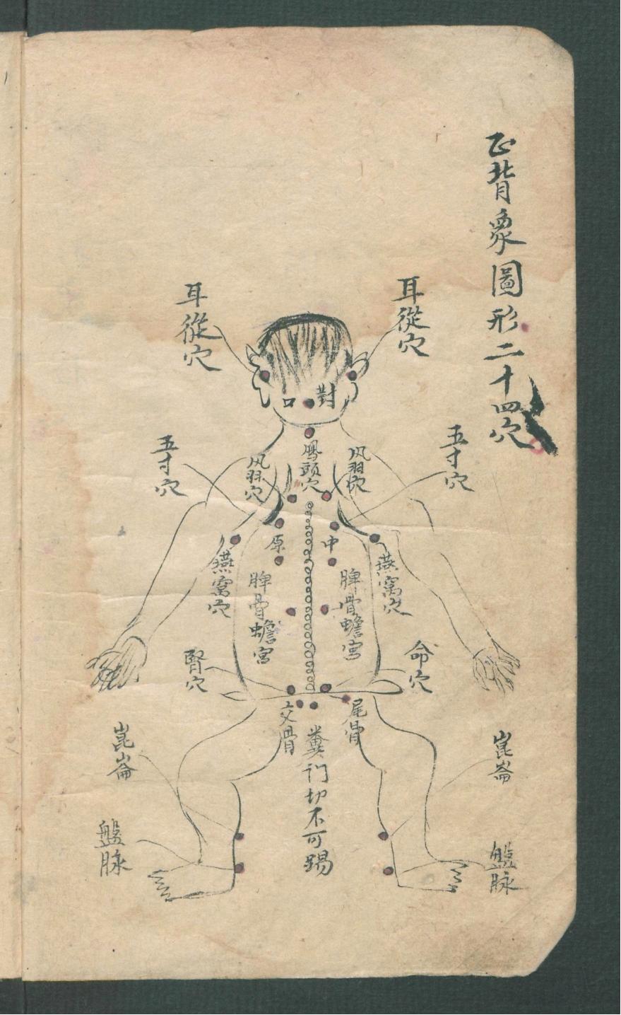 华佗仙师秘传01,华佗仙师秘传全集