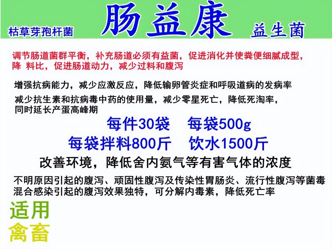 鸡鸭鹅拉羊粪便怎么处理,鸡鸭鹅拉白色便是怎么回事