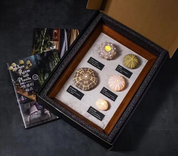 100元以内的黑科技男生好物,男生礼物科技好物推荐