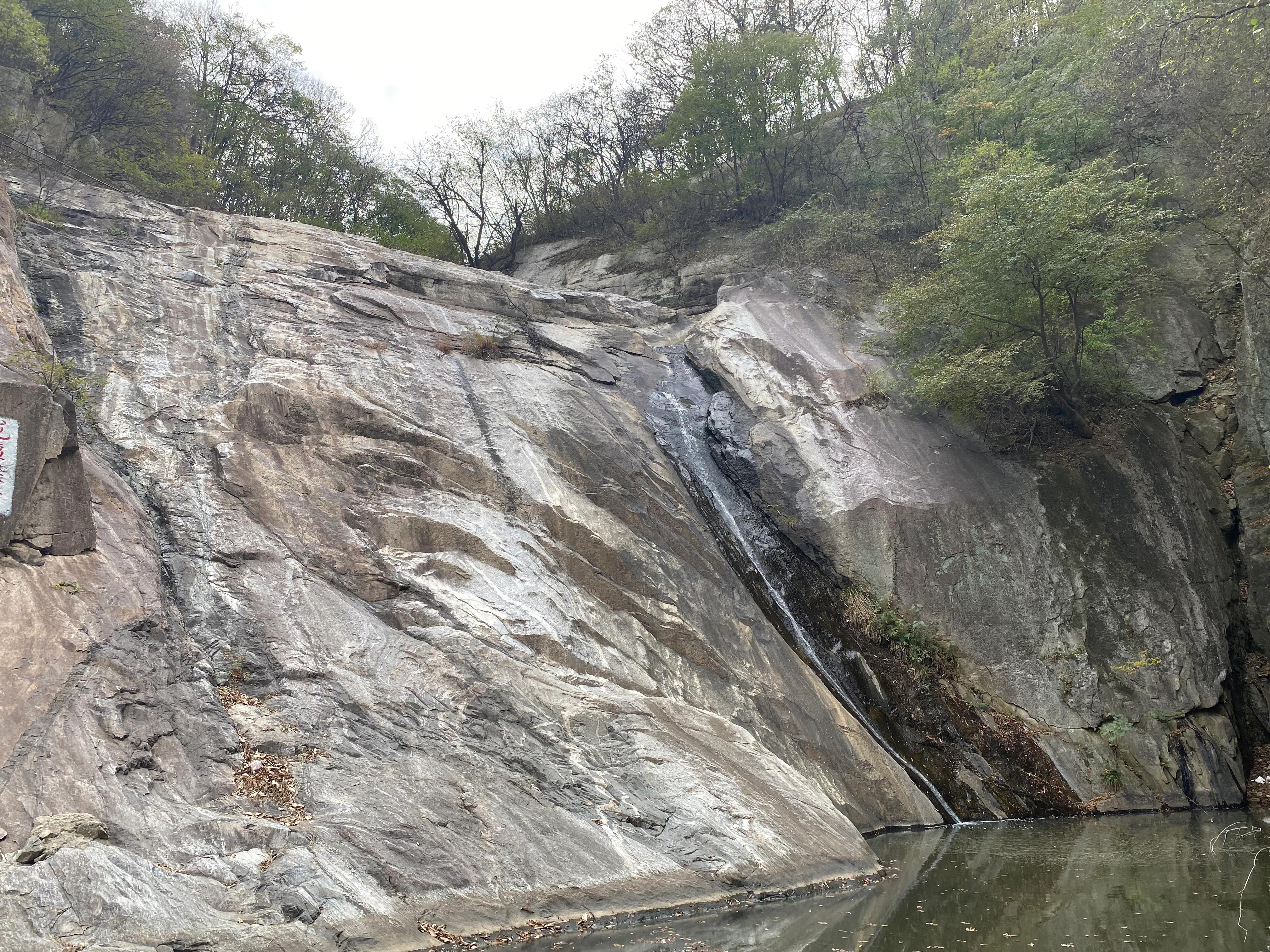 我在白云山130元买了10斤黄精,有人说我是被采药人偶遇了