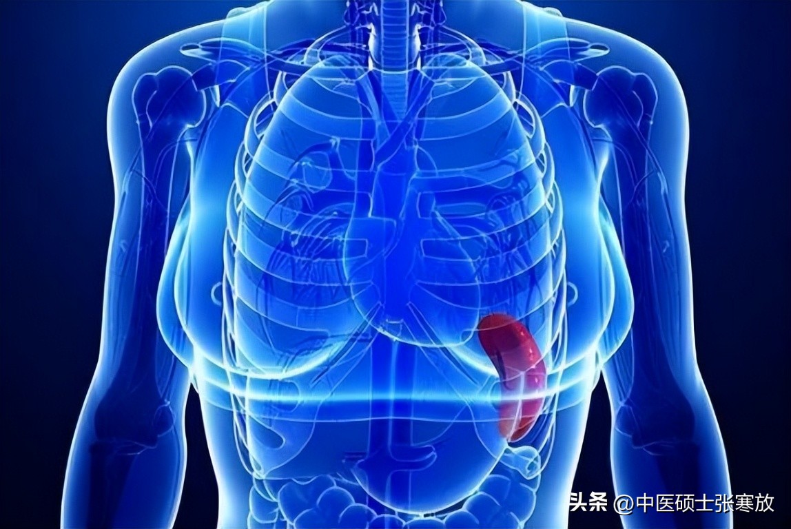 睾丸潮湿湿热用什么中药,睾丸潮湿下焦湿热怎么治疗