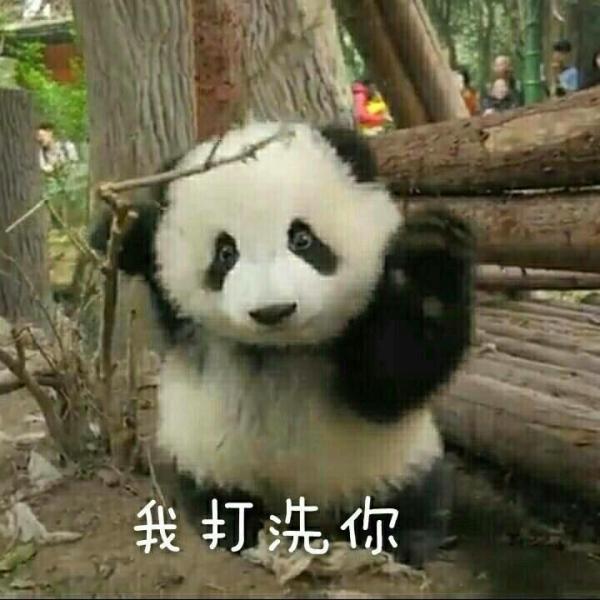 考研复试前不联系导师有什么后果,考研联系导师是复试前还是复试后