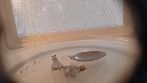 目前最实用的微波炉,微波炉你不知道的功能