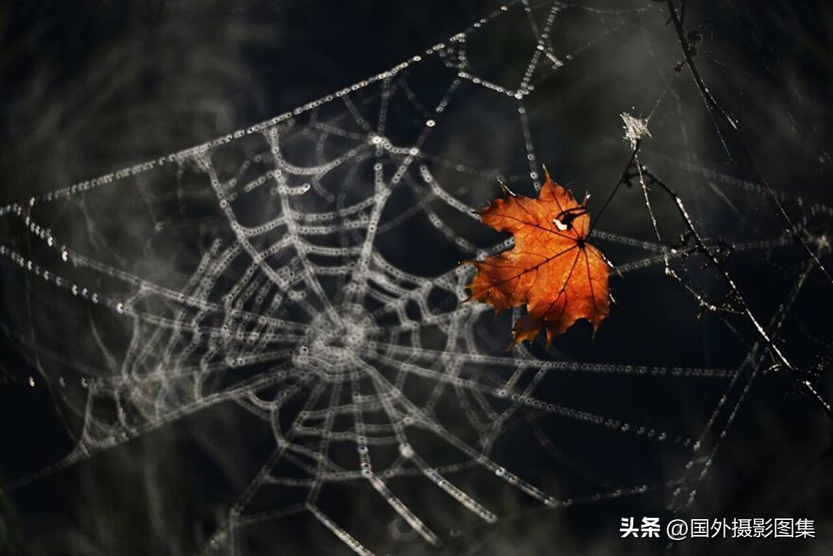 秋天最美大自然图片,春天最美的三十六张照片