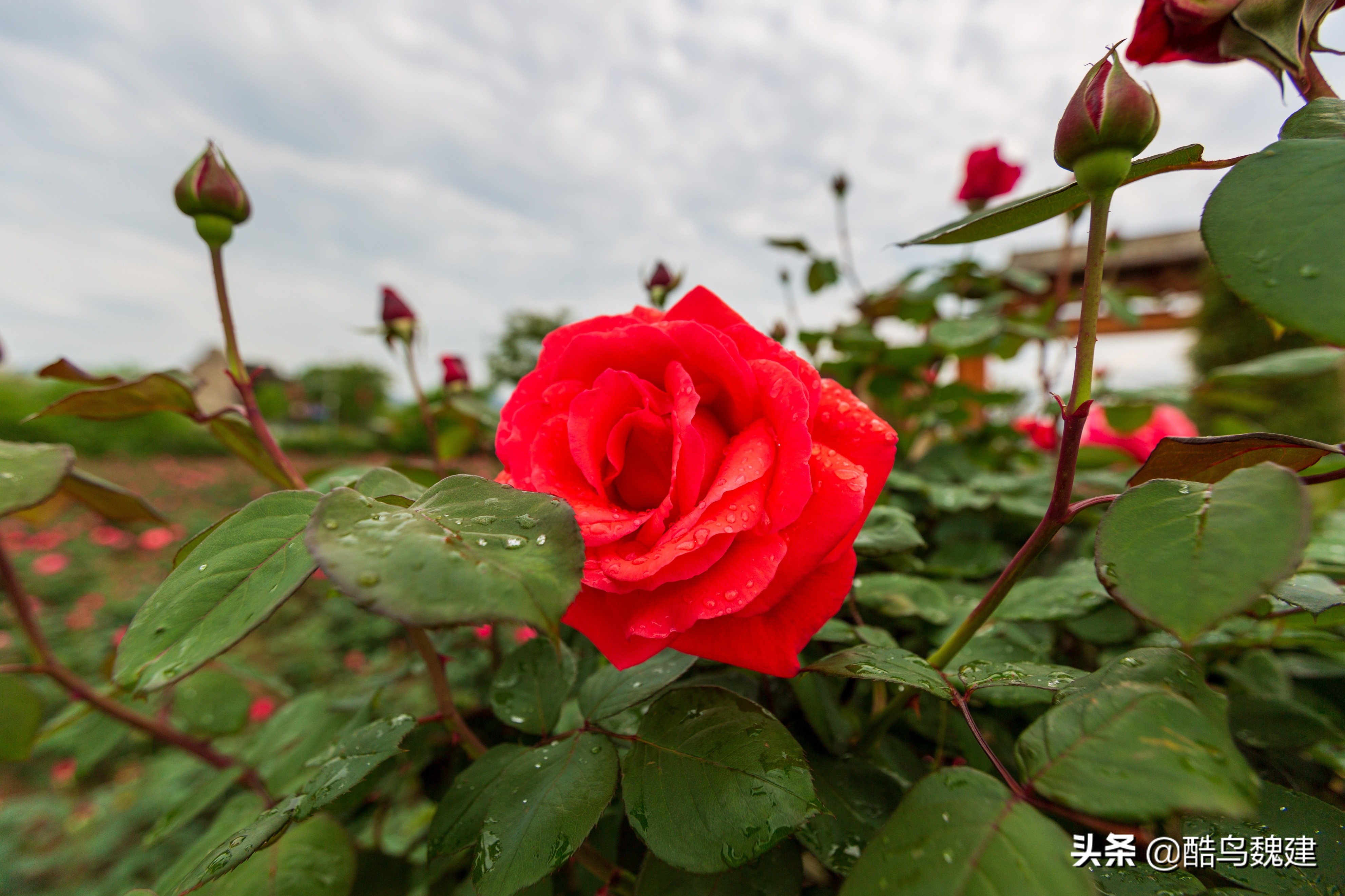 贵州黔南十大魅力景区,贵州哪座山最美
