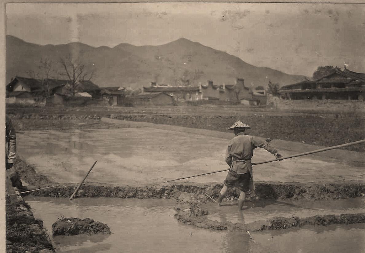 老照片再现侵华日军的罪恶行径,老照片日本侵华暴行