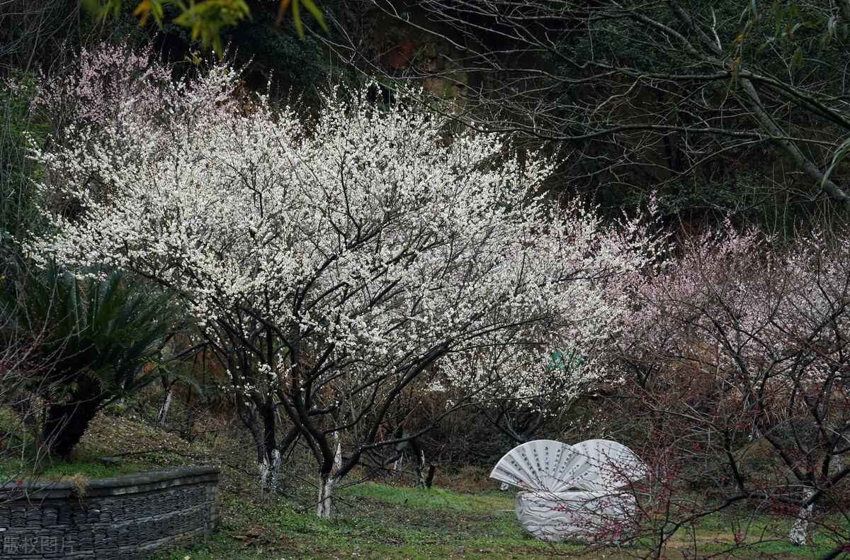宁波冬日游玩好去处,宁波值得打卡的景点