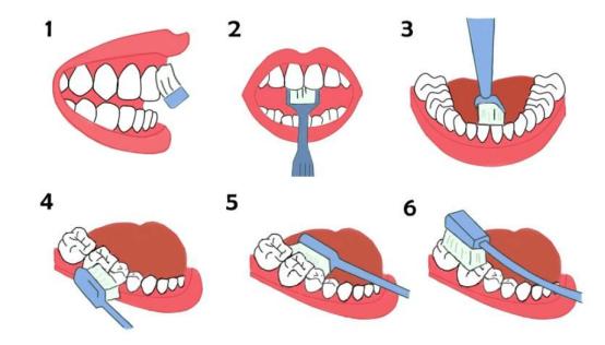 电动牙刷和普通牙刷对牙的好坏,不伤牙的电动牙刷