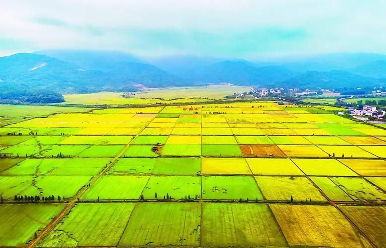 当前户口非转农都有哪些政策规定,农转非户口的最新政策到什么时候