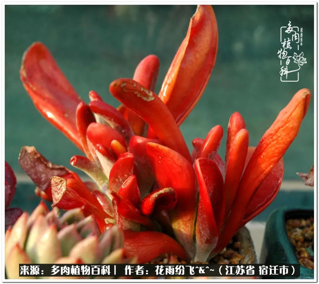 回味童年无忧无虑的快乐时光,童年最快乐的时光