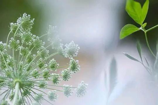 女生都有虚荣心吗,人都有虚荣心