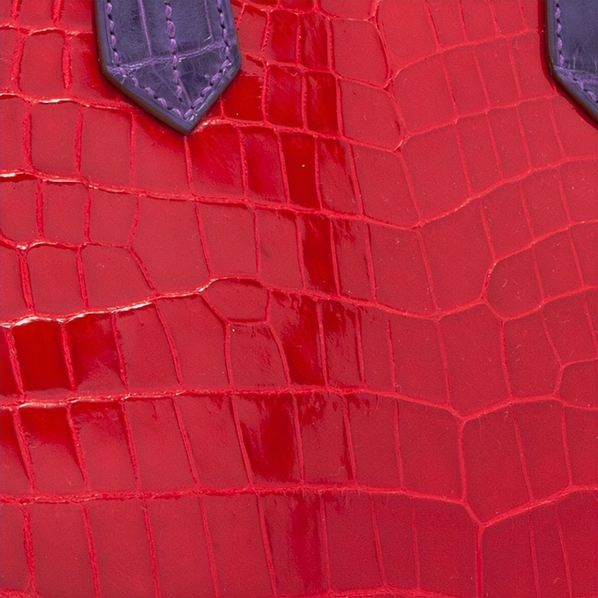 爱马仕皮革是怎么取材,爱马仕皮革常用皮种介绍