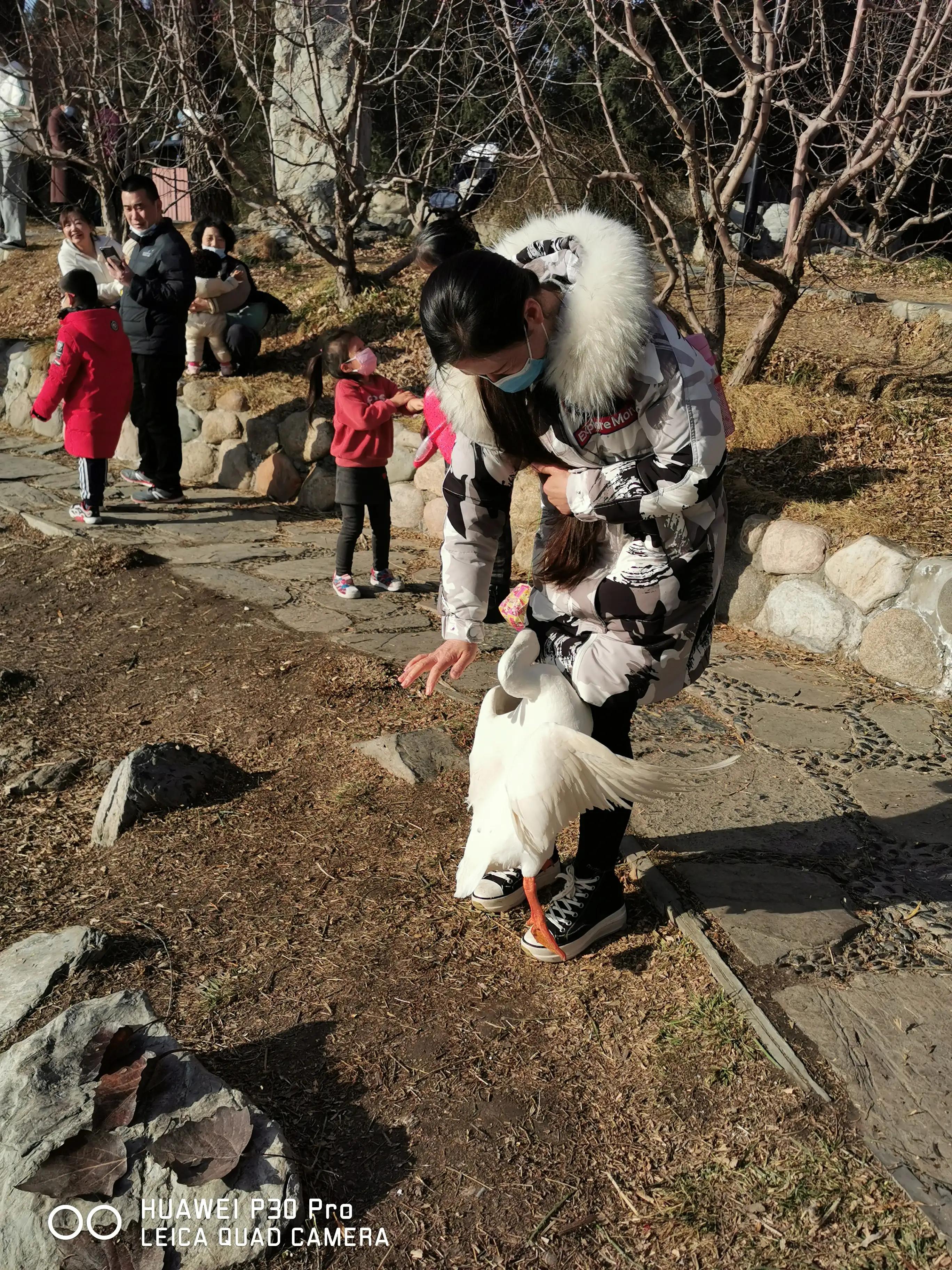 感觉如何产生,感觉如何解释