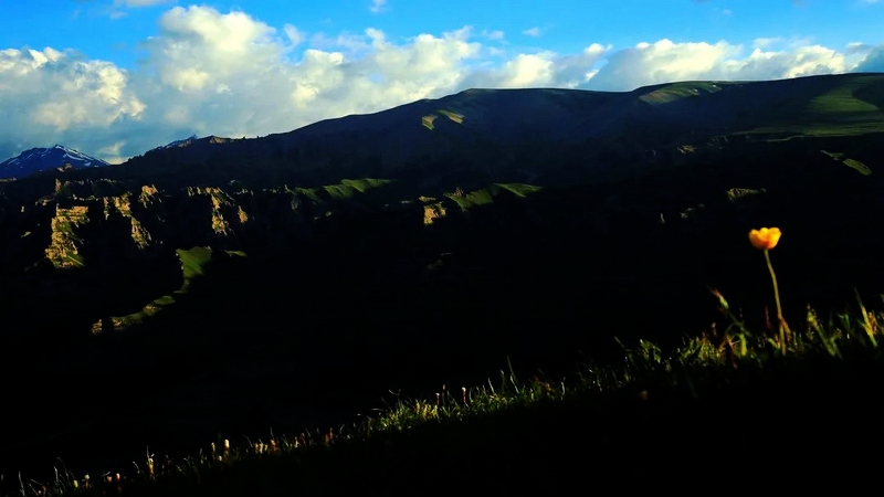 澶╁北鐭虫灄鏅偣瑙嗛,鏂扮枂澶╁北鐭虫灄鍥剧墖