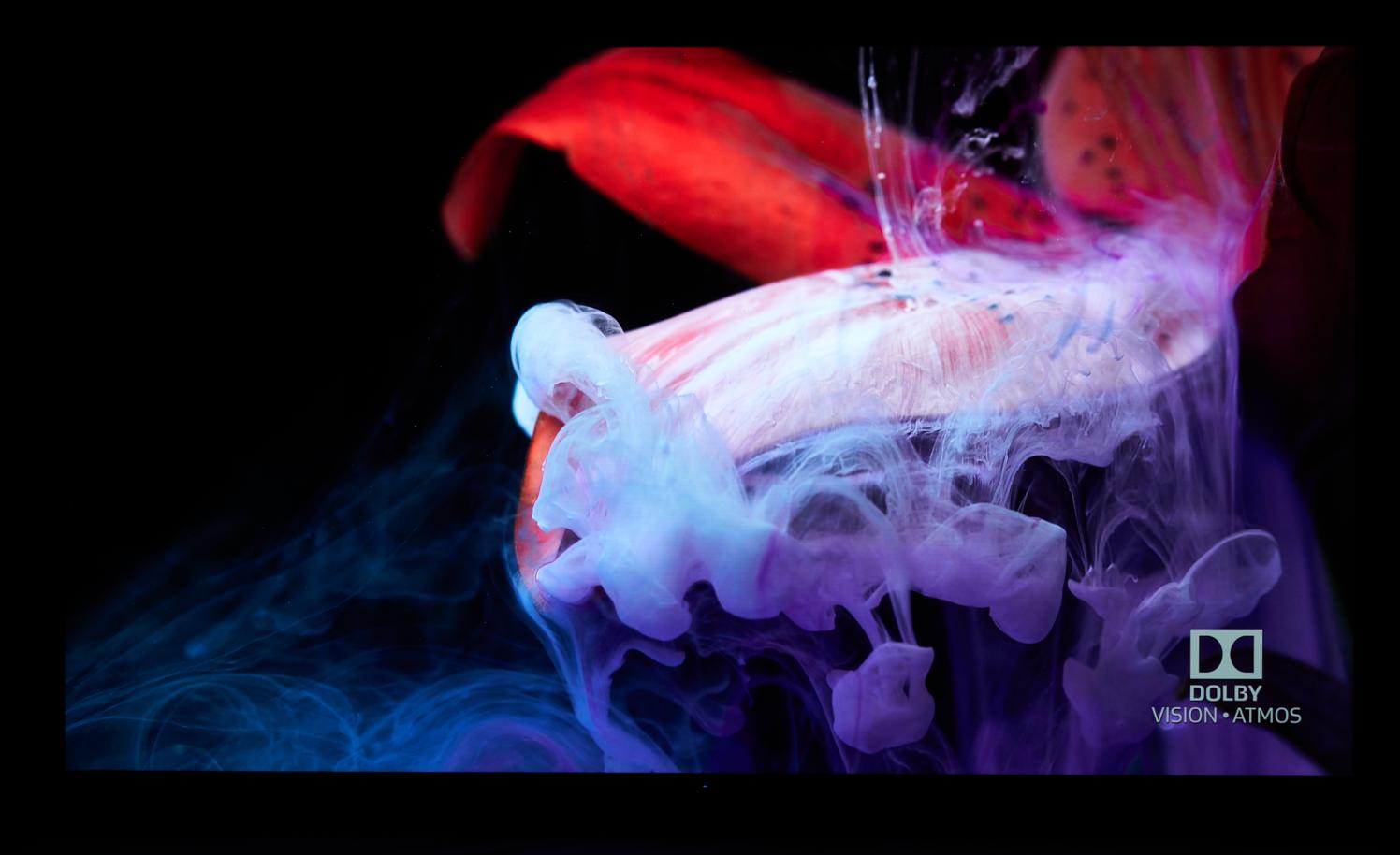 雷鸟鹤7pro75寸看4k效果,雷鸟鹤7pro55寸有高刷吗