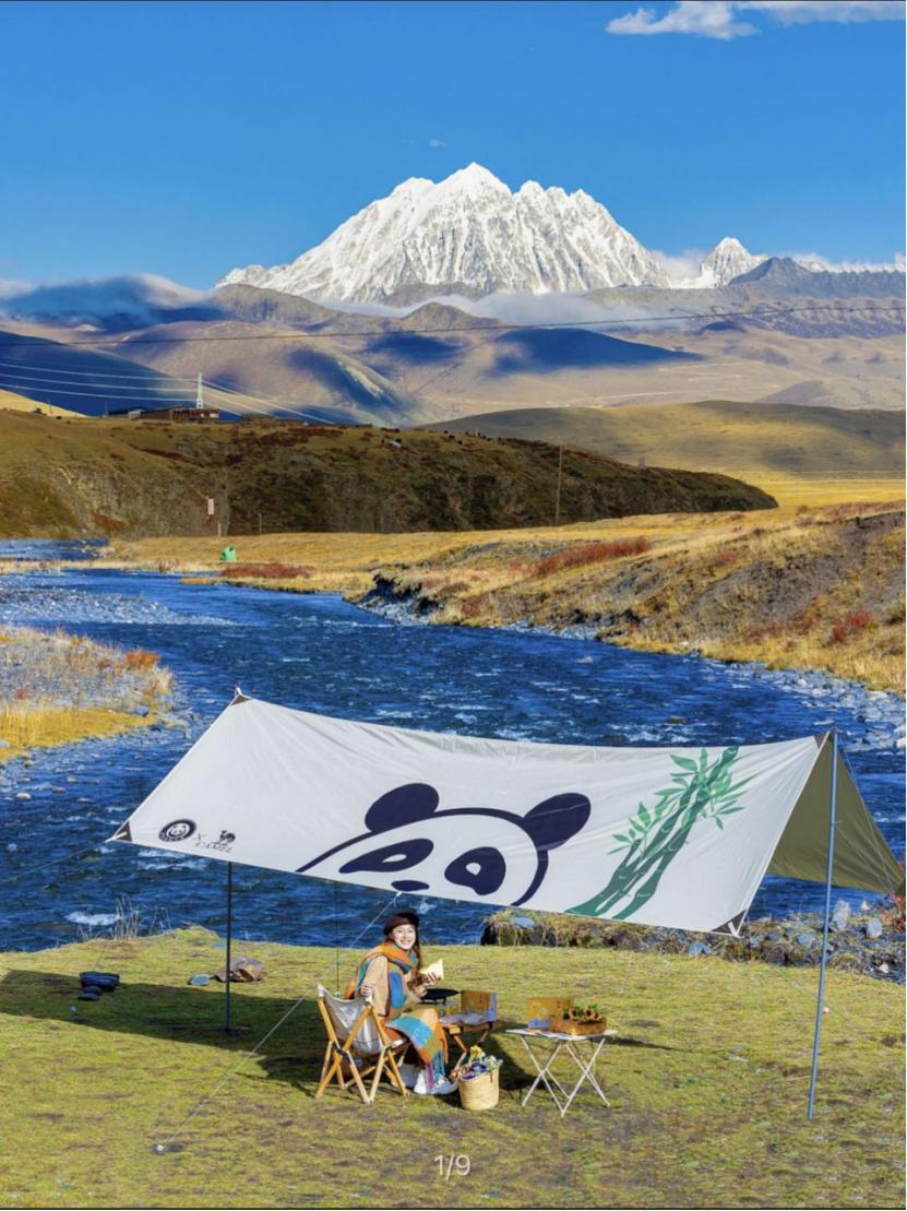 从国货之光到失宠,从国货之光到民族之耻