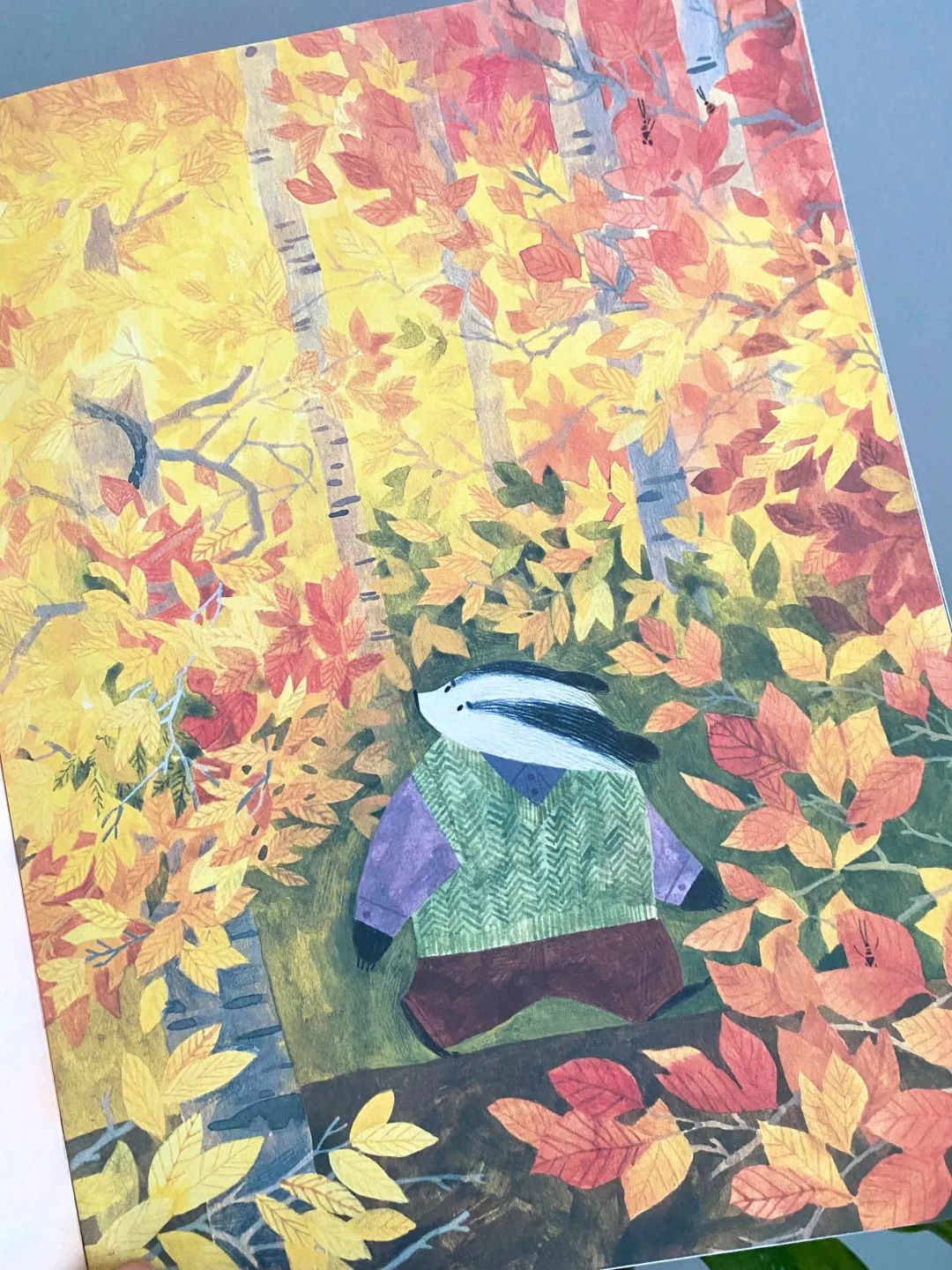 网红书推荐励志,网红推荐的书值得读吗